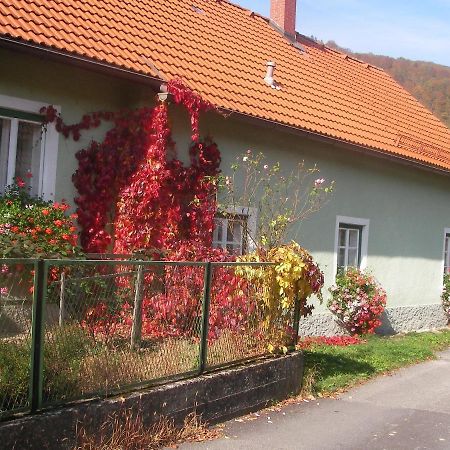 Haus Gerstbauer Lägenhet Aggsbach Exteriör bild
