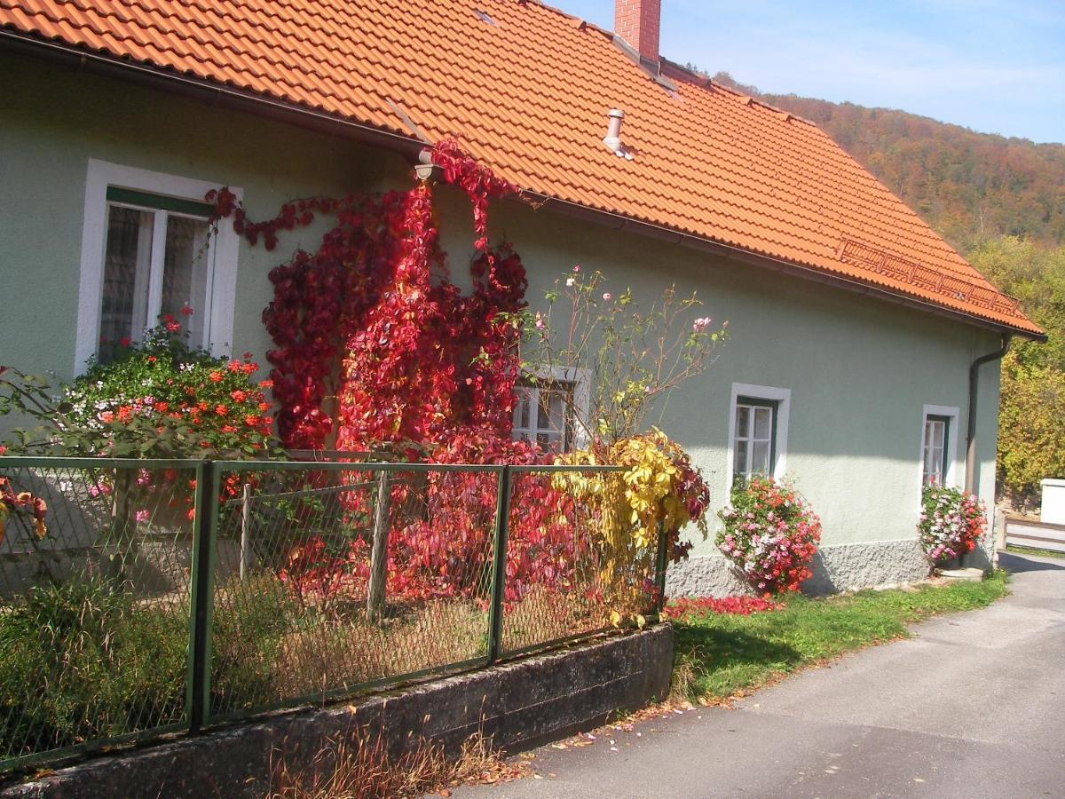 Haus Gerstbauer Lägenhet Aggsbach Exteriör bild